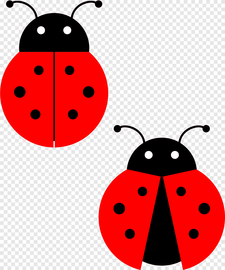 Detail Ladybug Images Free Nomer 16