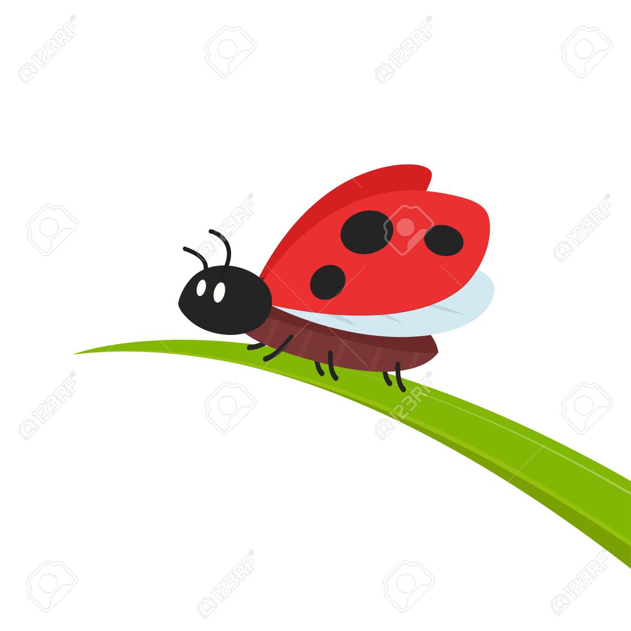 Detail Ladybug Images Free Nomer 20