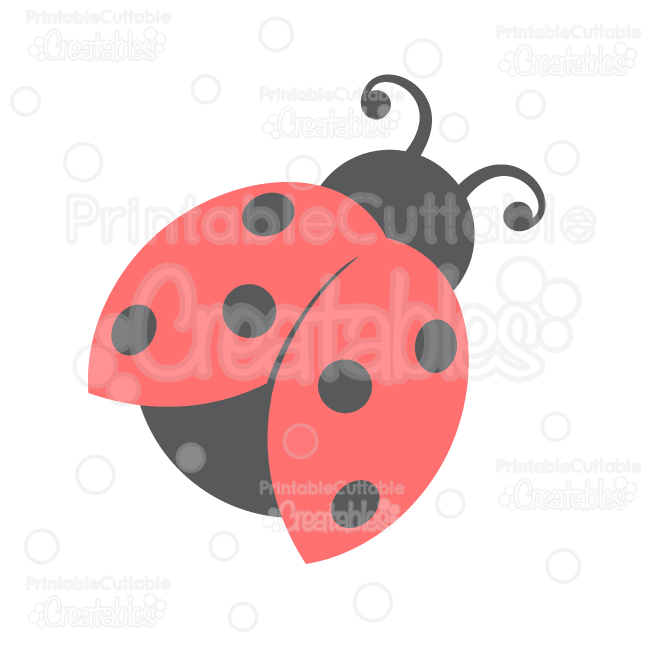 Detail Ladybug Images Free Nomer 25