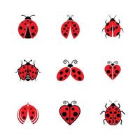 Detail Ladybug Images Free Nomer 26
