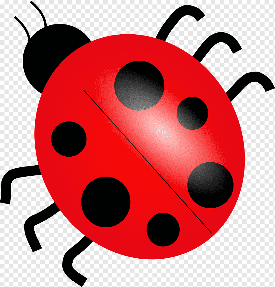 Detail Ladybug Images Free Nomer 5