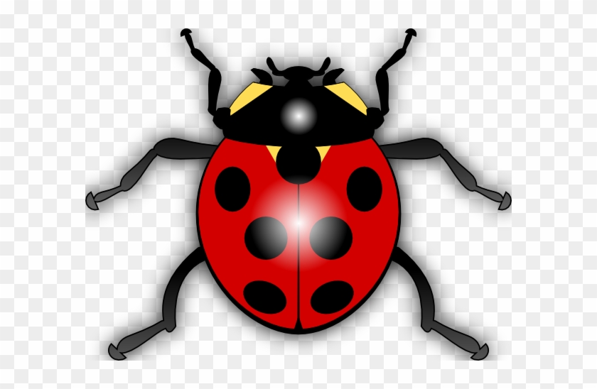 Detail Ladybug Images Free Nomer 48