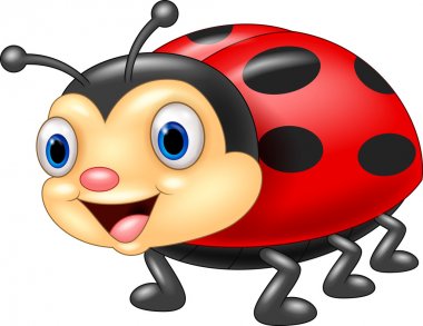 Detail Ladybug Images Free Nomer 49