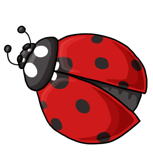 Detail Ladybug Images Free Nomer 6