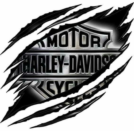 Detail Logo Harley Nomer 29