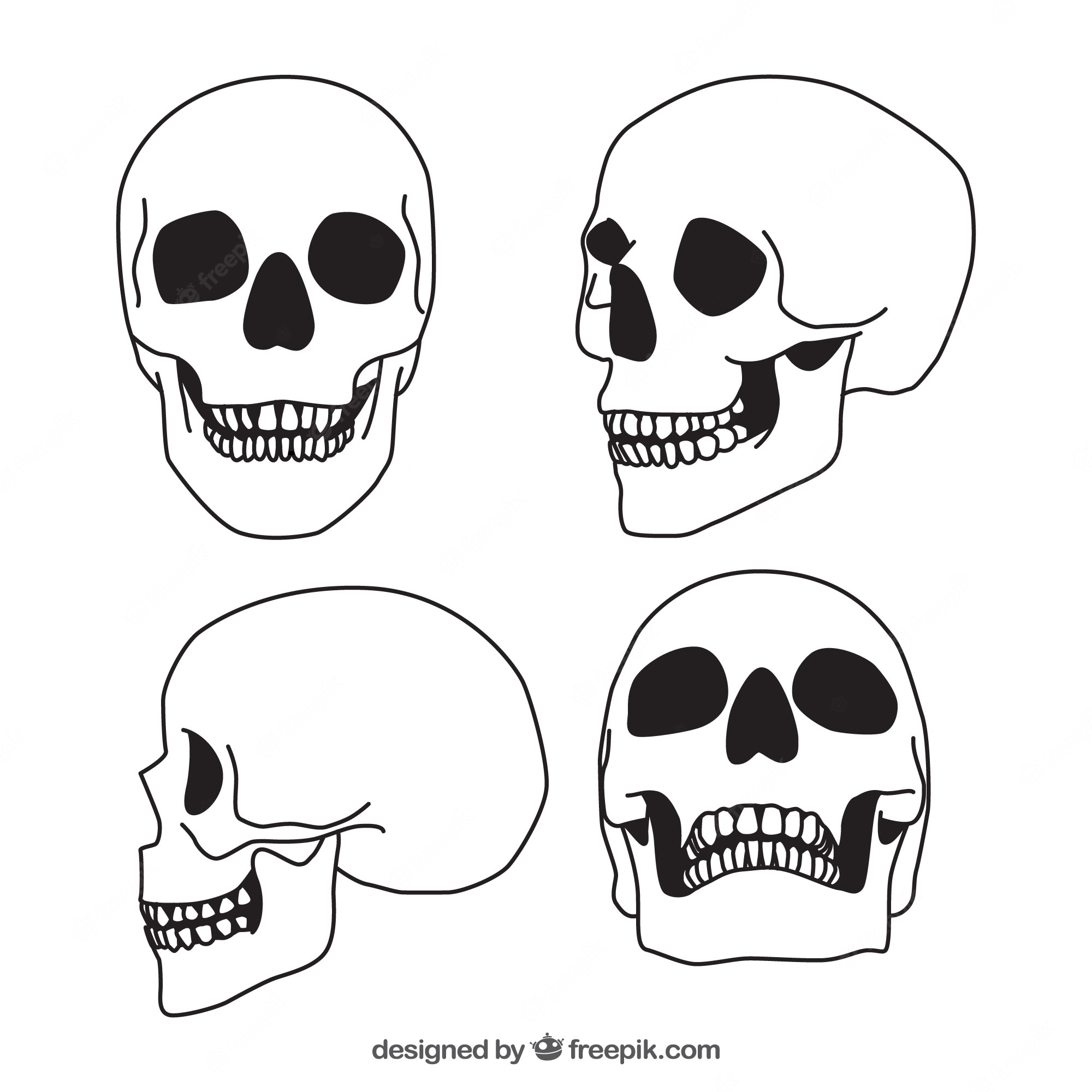 Detail Skull Pictures Free Nomer 8