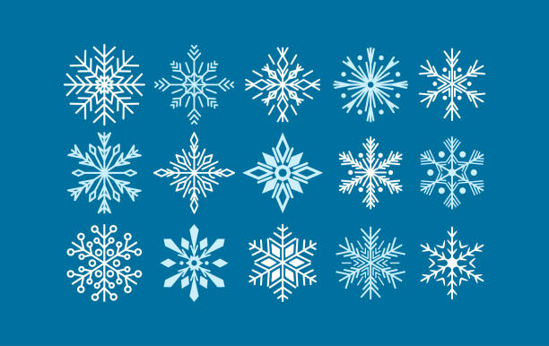 Detail Snowflake Vector Png Nomer 51