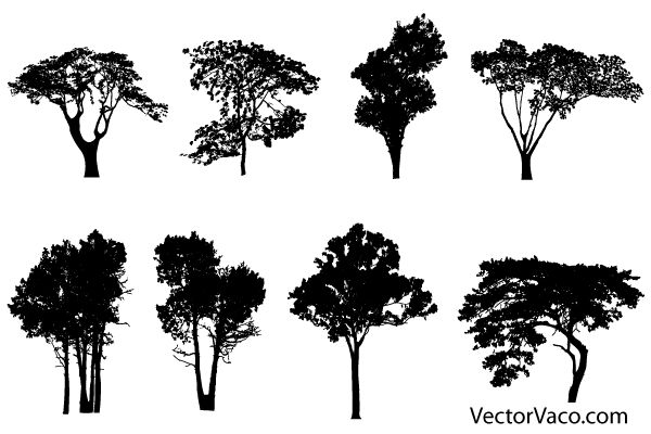 Detail Tree Silhouette Vector Png Nomer 14