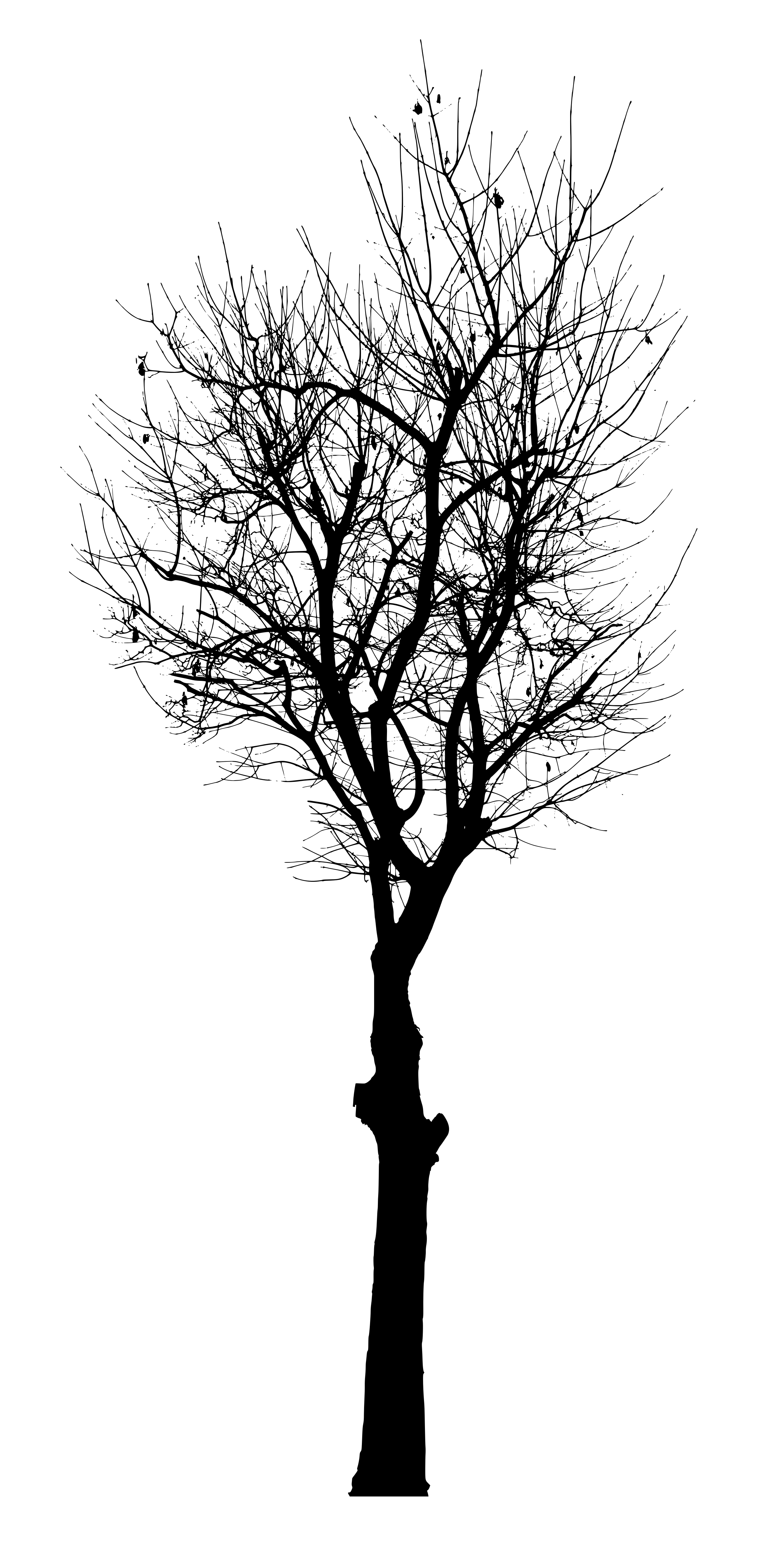 Download Tree Silhouette Vector Png Nomer 16