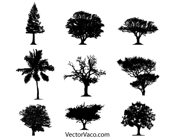 Detail Tree Silhouette Vector Png Nomer 25