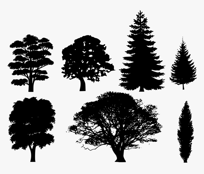 Detail Tree Silhouette Vector Png Nomer 9