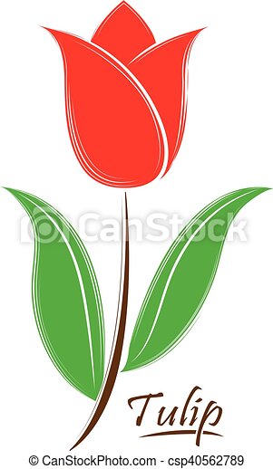 Detail Tulip Vector Nomer 40
