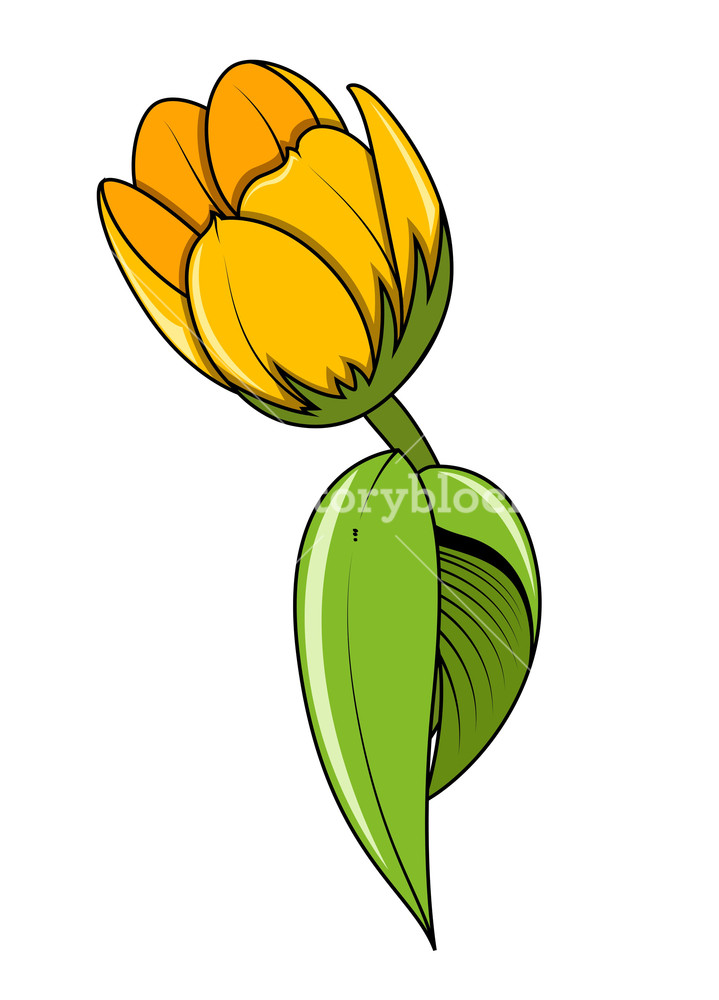 Detail Tulip Vector Nomer 8