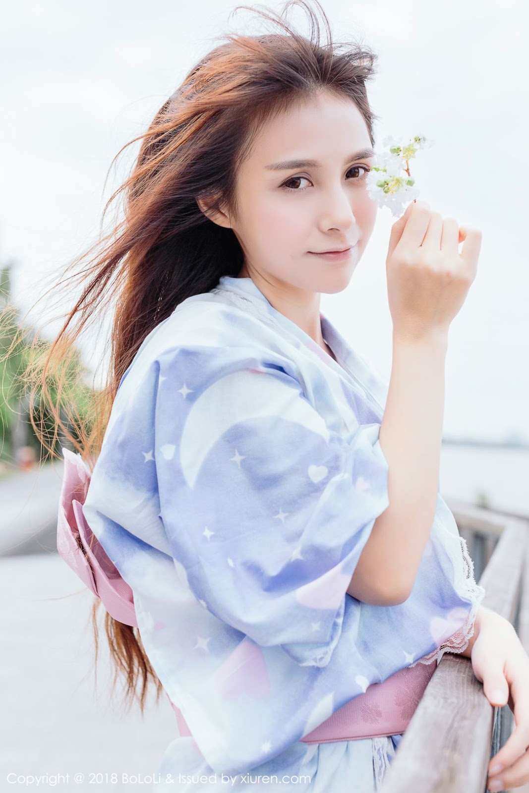 Detail Xia Mei Jiang Nomer 5