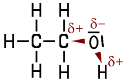 Detail Ethanol Skelettformel Nomer 3