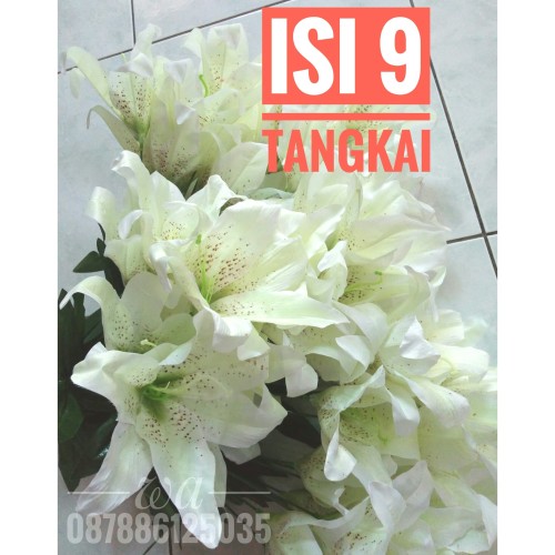 Detail Gambar Bunga Lily Hijau Nomer 35