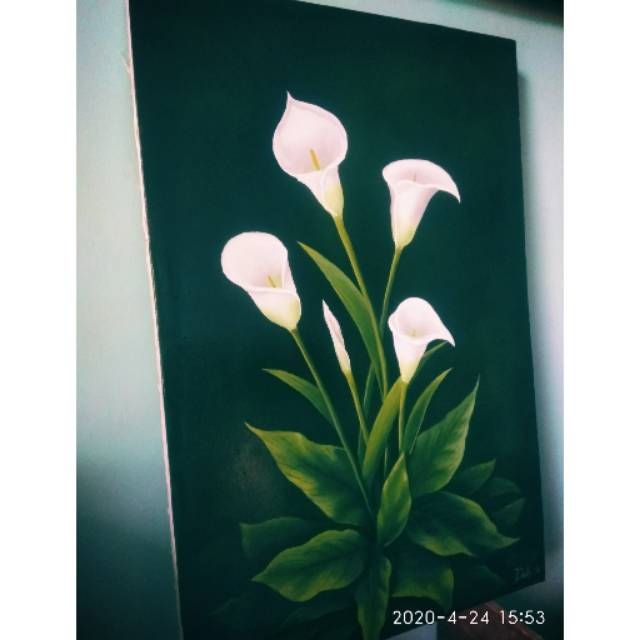 Detail Gambar Bunga Lily Hijau Nomer 44