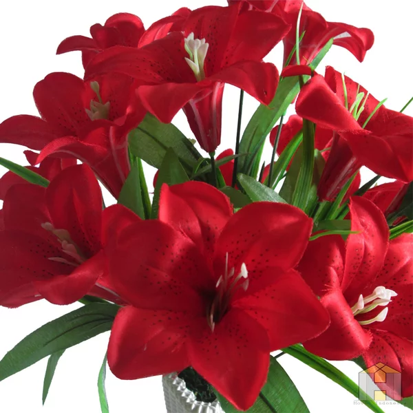 Detail Gambar Bunga Lily Merah Nomer 13