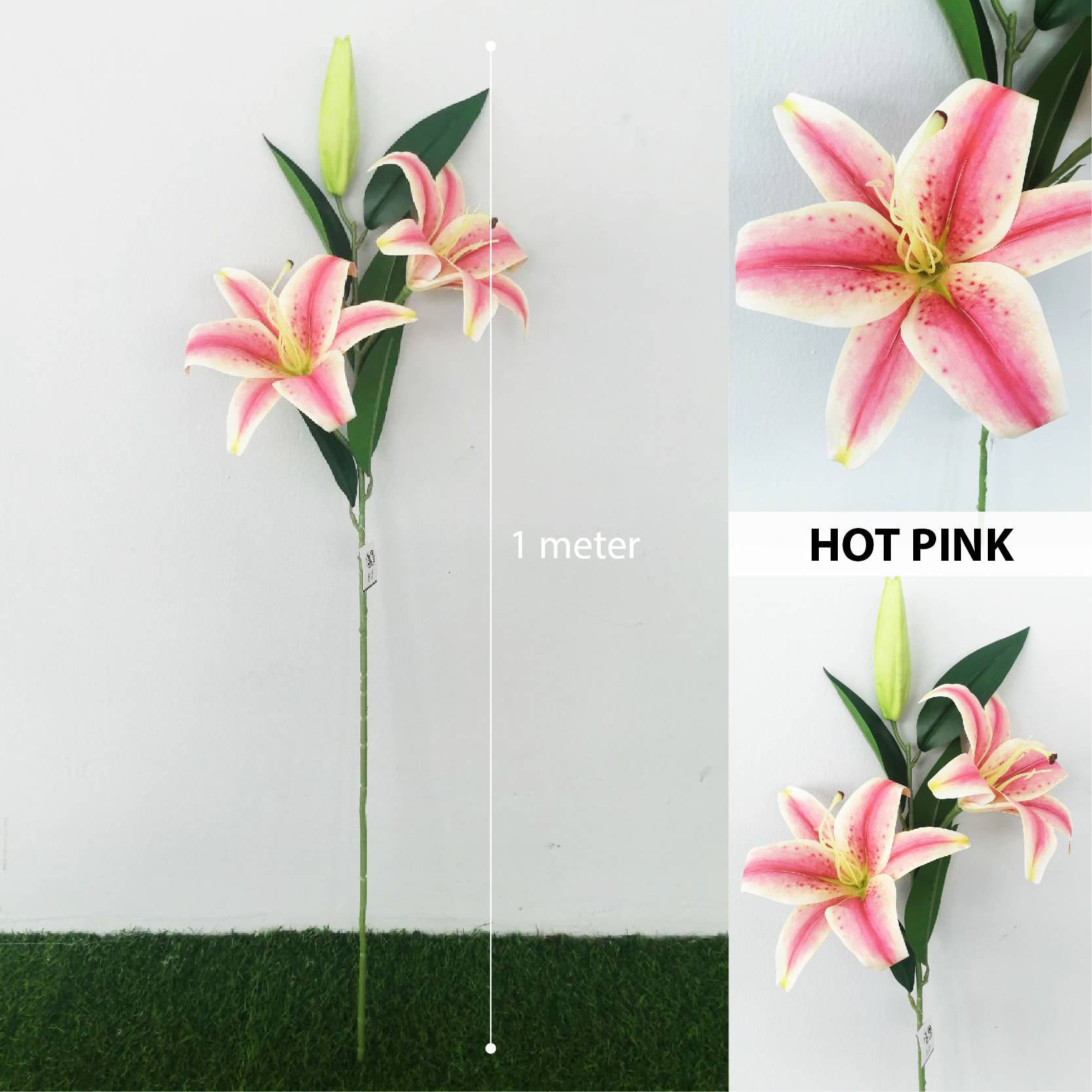 Detail Gambar Bunga Lily Pink Nomer 37