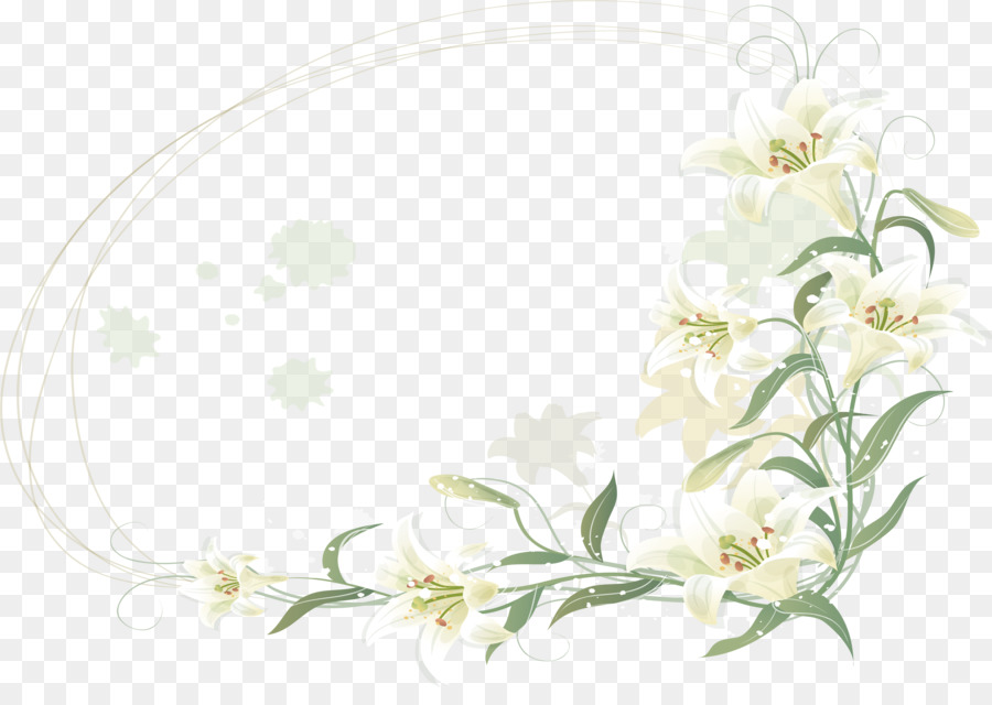 Detail Gambar Bunga Lily Png Nomer 24