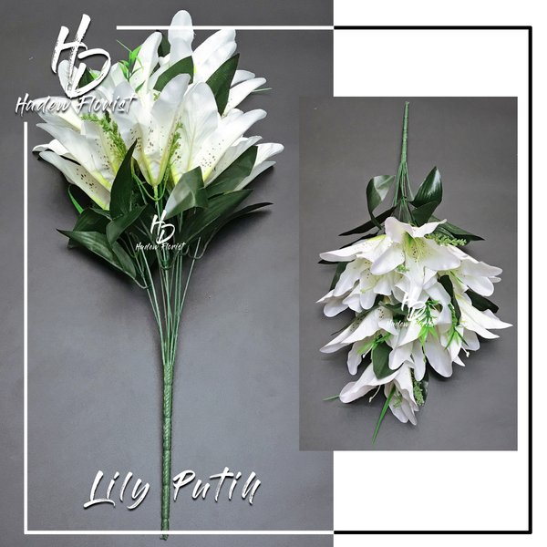 Detail Gambar Bunga Lily Putih Nomer 44