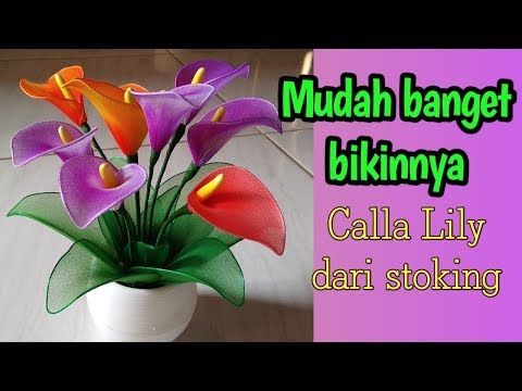 Detail Gambar Bunga Lily Yg Cantik Nomer 55