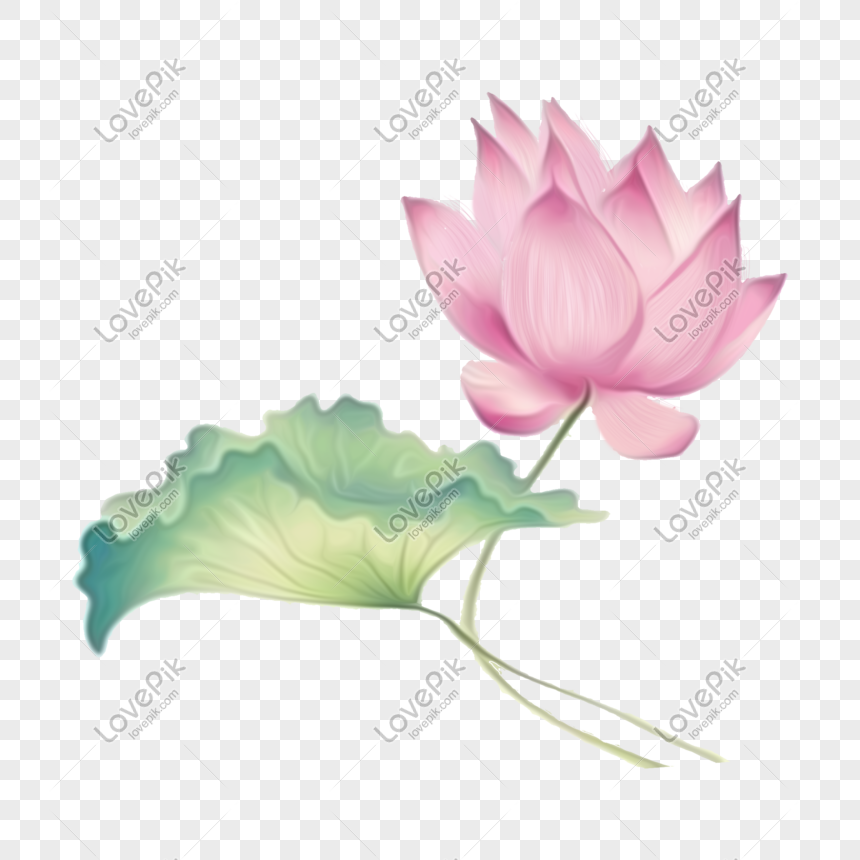 Detail Gambar Bunga Lotus Kartun Nomer 24