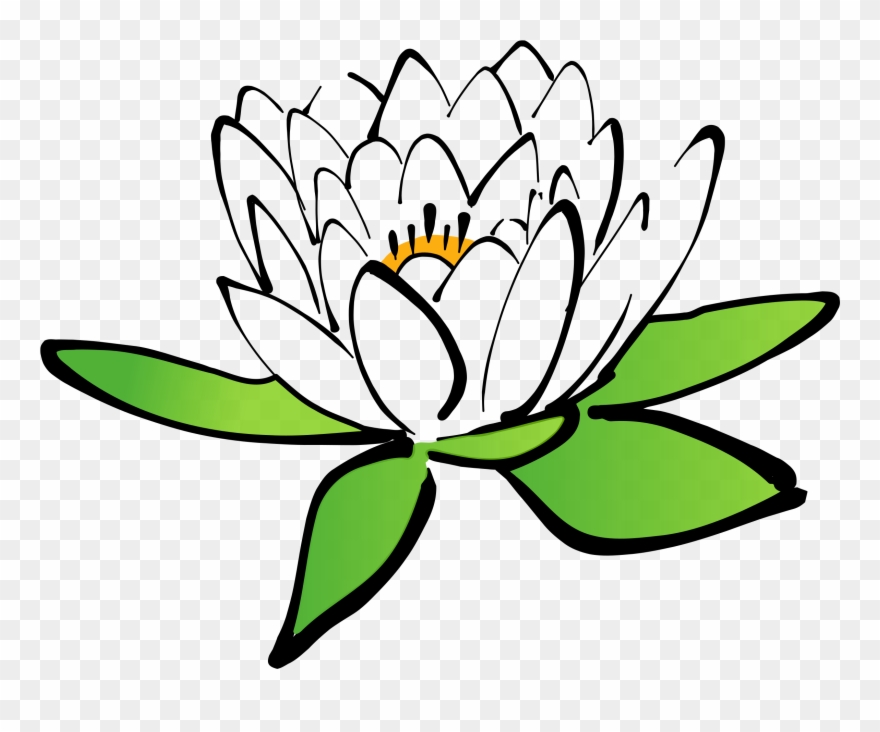 Detail Gambar Bunga Lotus Kartun Nomer 4