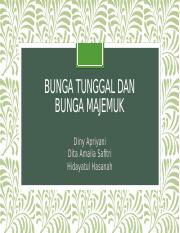 Detail Gambar Bunga Majemuk Dan Bagian Bagiannya Nomer 43