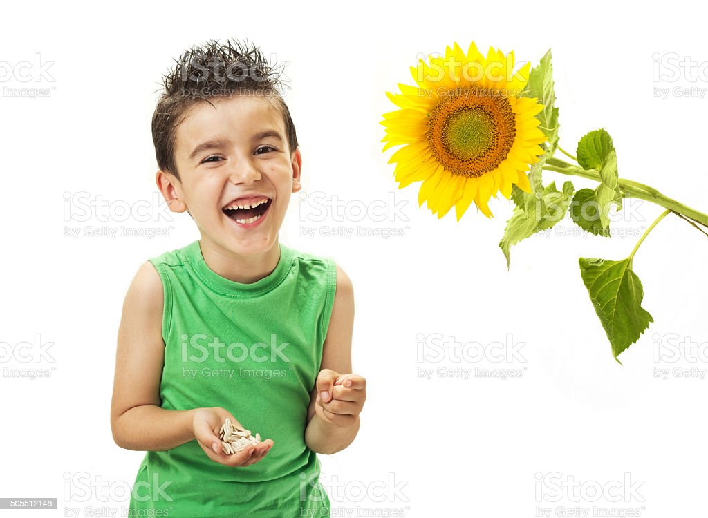 Detail Gambar Bunga Matahari Anak Anak Nomer 49