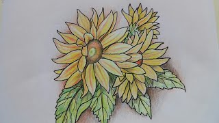 Detail Gambar Bunga Matahari Arsir Nomer 19