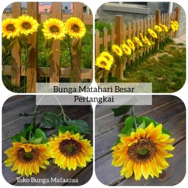 Detail Gambar Bunga Matahari Besar Nomer 24