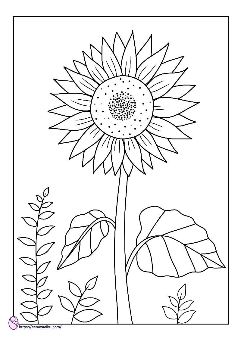 Detail Gambar Bunga Matahari Buat Mewarnai Nomer 5