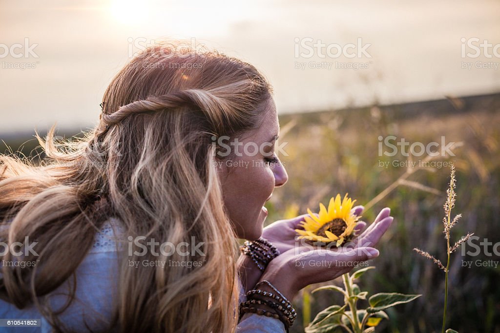 Detail Gambar Bunga Matahari Cantik Nomer 44