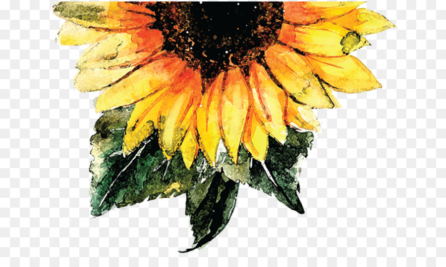 Detail Gambar Bunga Matahari Cat Air Nomer 16