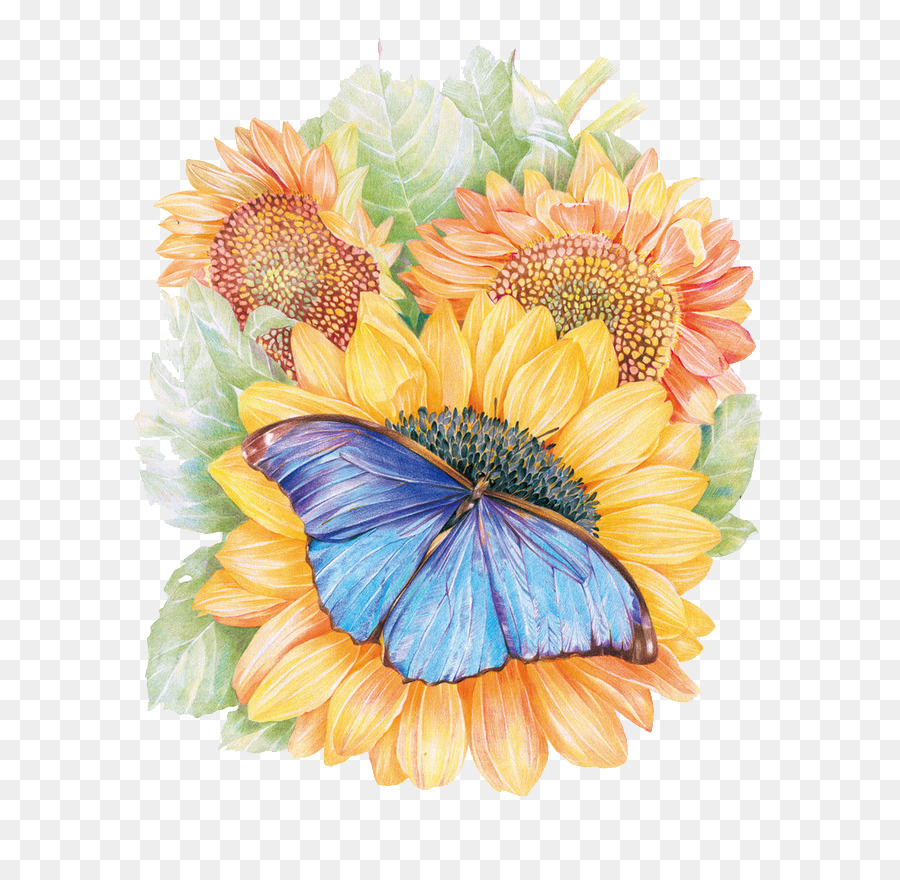 Detail Gambar Bunga Matahari Dan Kupu Kupu Nomer 42