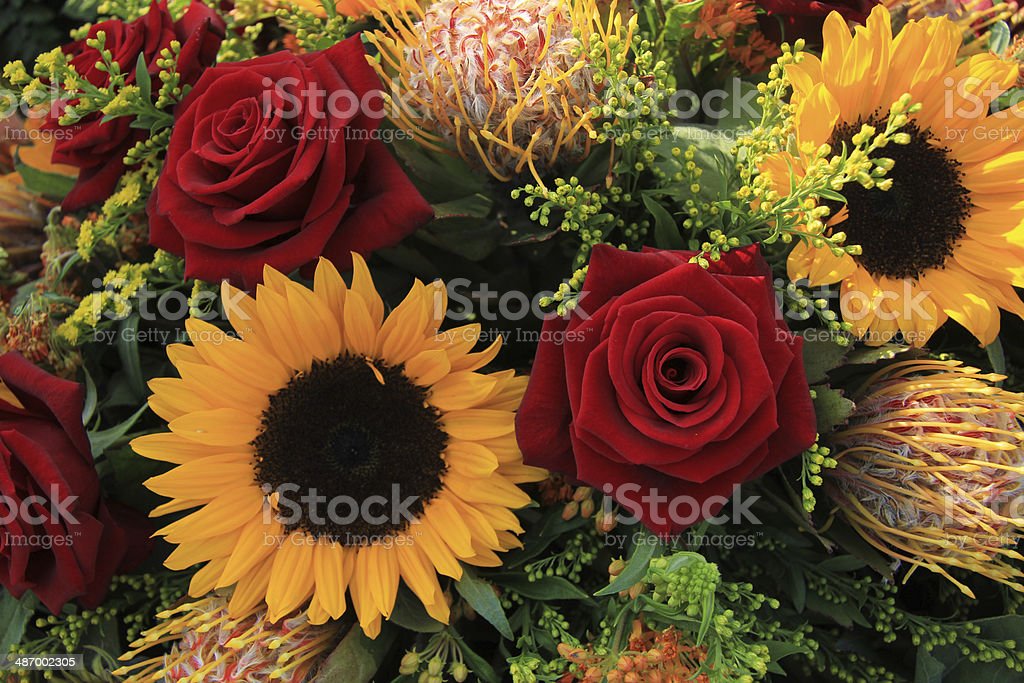 Detail Gambar Bunga Matahari Dan Mawar Nomer 5