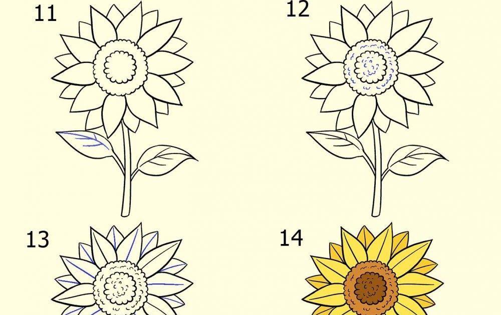 Detail Gambar Bunga Matahari Dengan Mudah Nomer 39