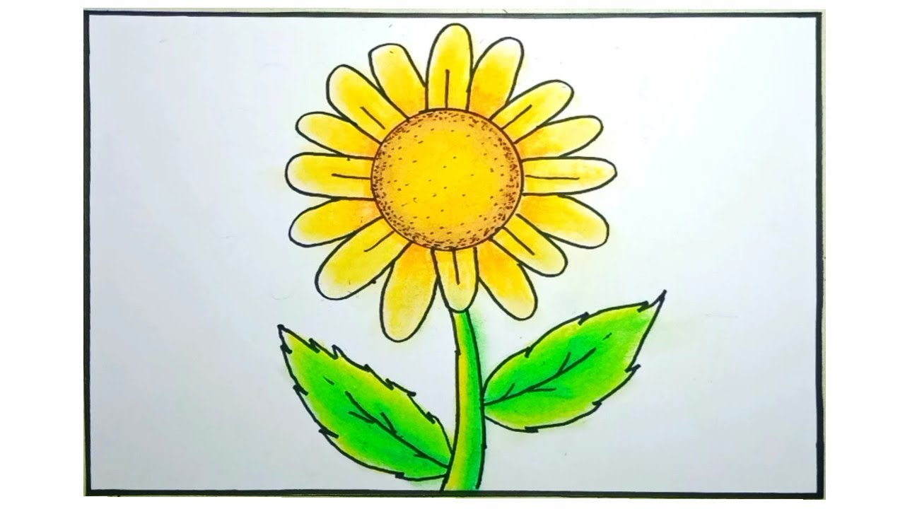 Detail Gambar Bunga Matahari Dengan Mudah Nomer 10