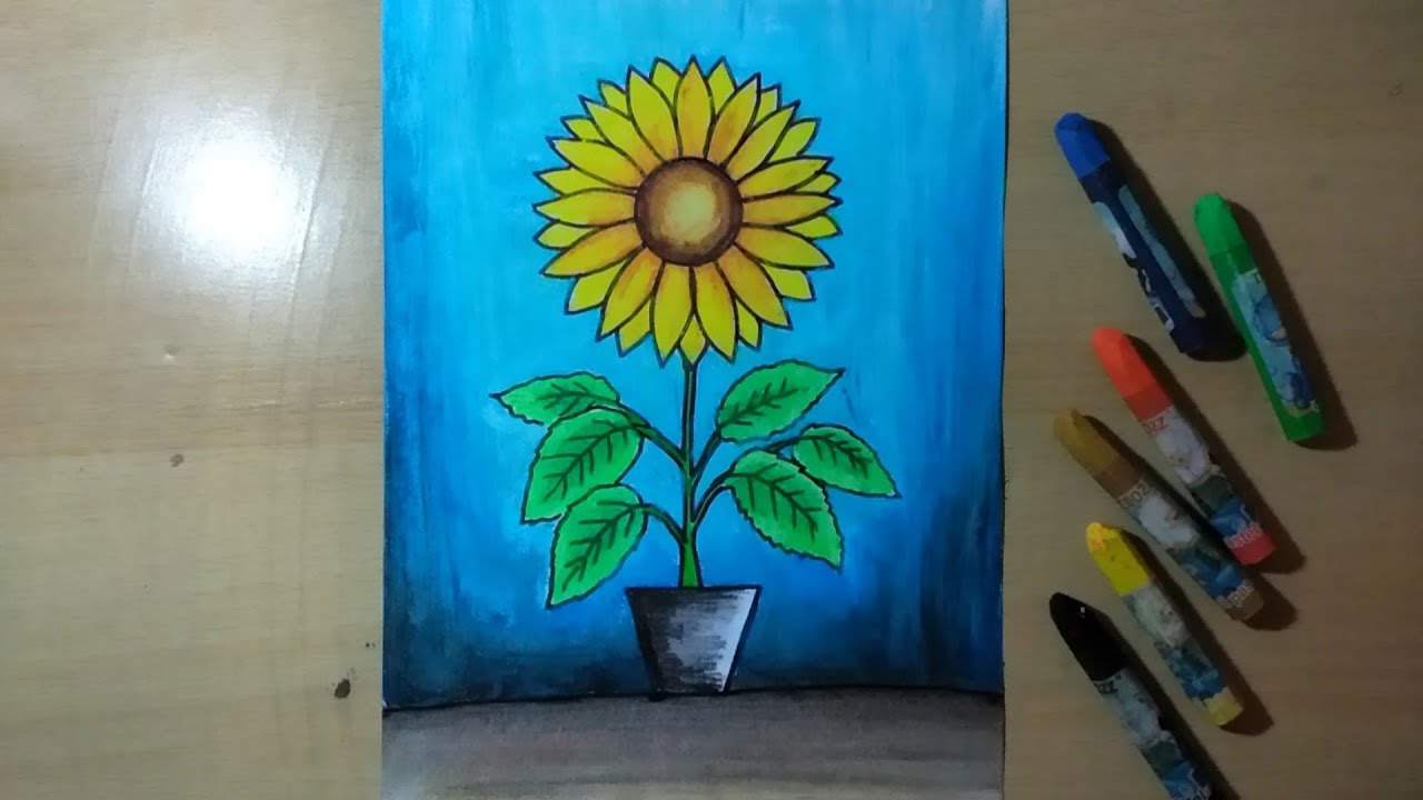 Detail Gambar Bunga Matahari Dengan Pensil Nomer 28