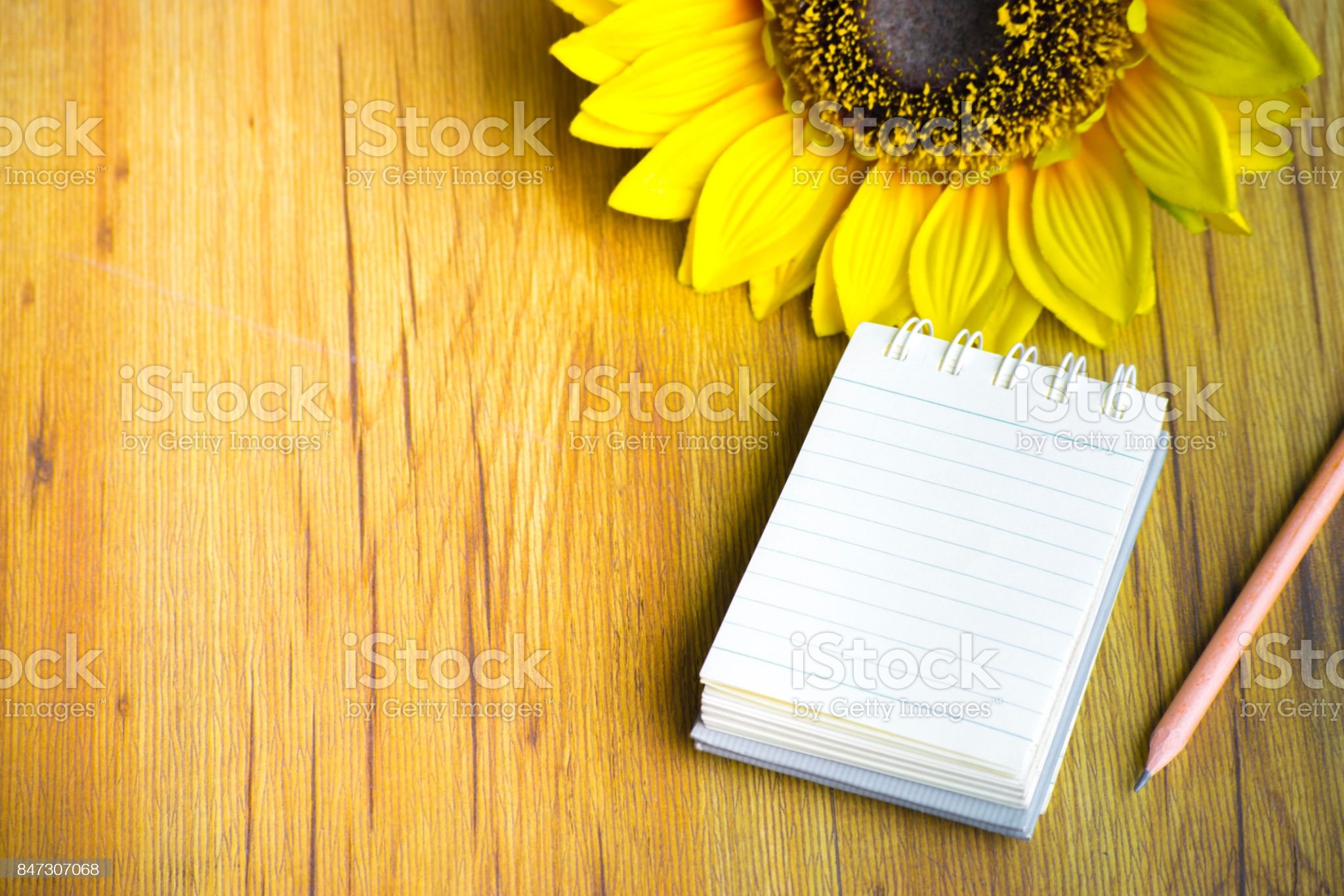 Download Gambar Bunga Matahari Dengan Pensil Nomer 48
