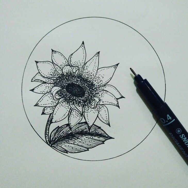 Detail Gambar Bunga Matahari Dengan Pensil Nomer 54