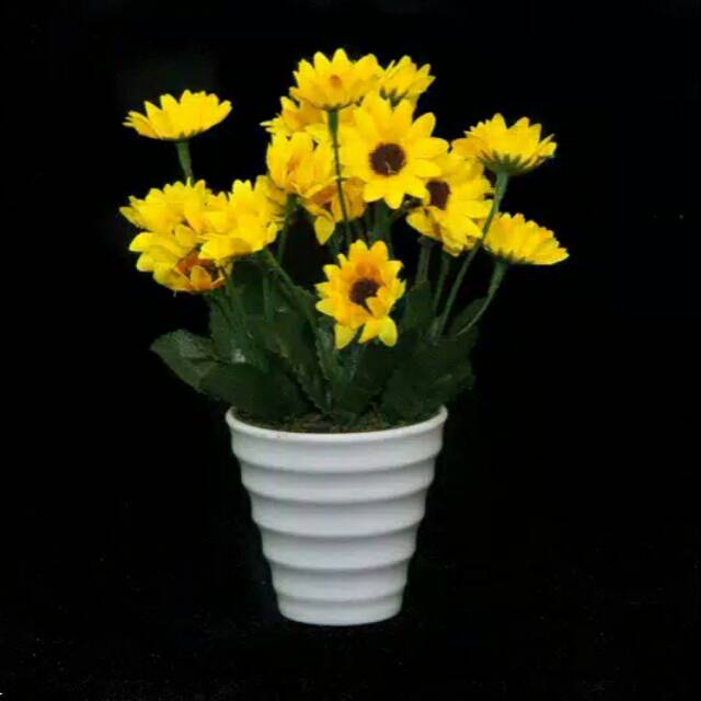 Detail Gambar Bunga Matahari Dengan Pot Nomer 21