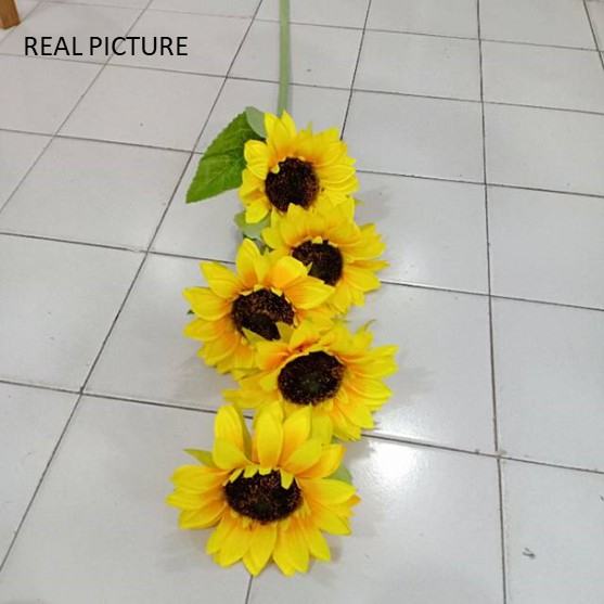Detail Gambar Bunga Matahari Dengan Potnya Nomer 55