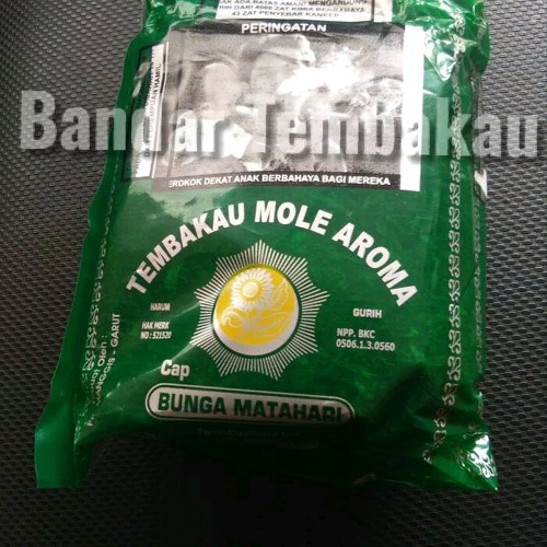 Detail Gambar Bunga Matahari Hijau Nomer 54