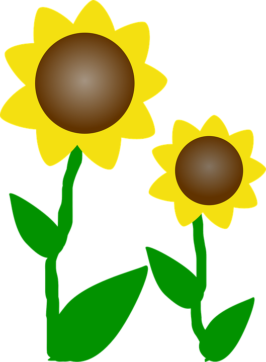 Detail Gambar Bunga Matahari Kartun Png Nomer 21