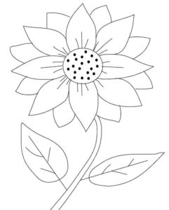 Detail Gambar Bunga Matahari Kolase Nomer 49