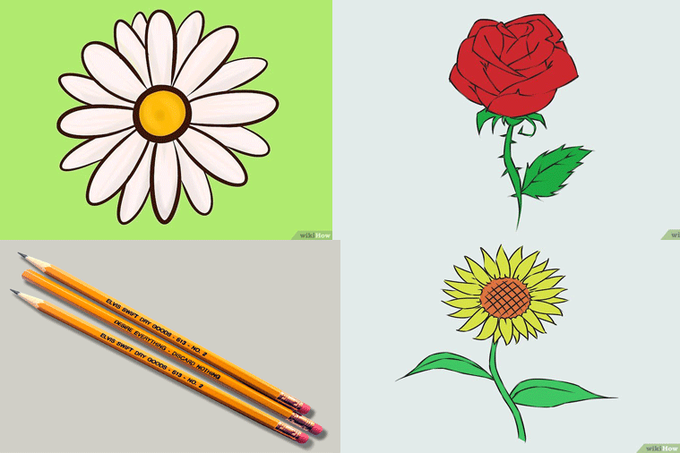 Detail Gambar Bunga Matahari Pakai Pensil Nomer 42
