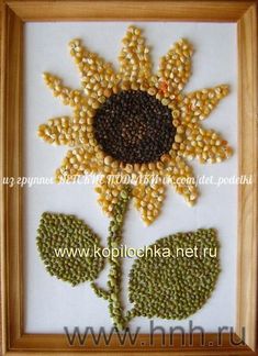 Detail Gambar Bunga Matahari Pake Biji Bijian Nomer 13