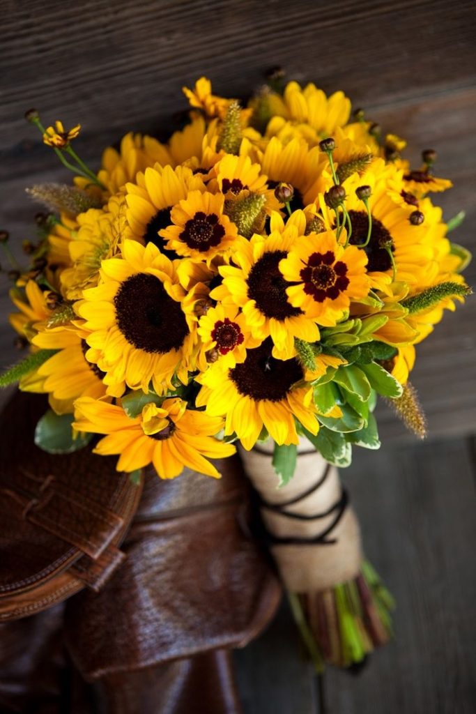 Detail Gambar Bunga Matahari Pinterest Nomer 30